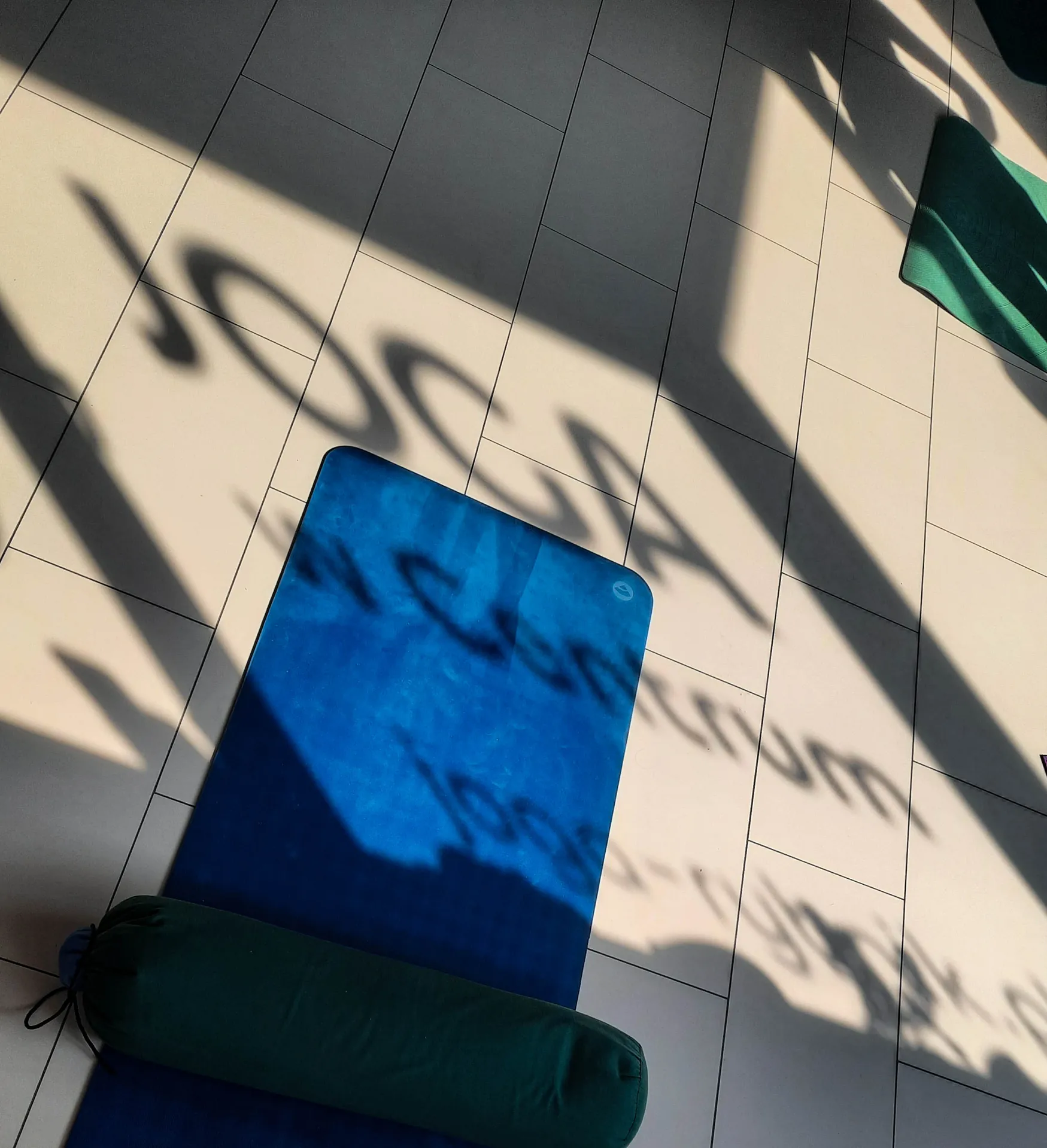 Warsztat Jogi Powięziowej - Wprowadzenie